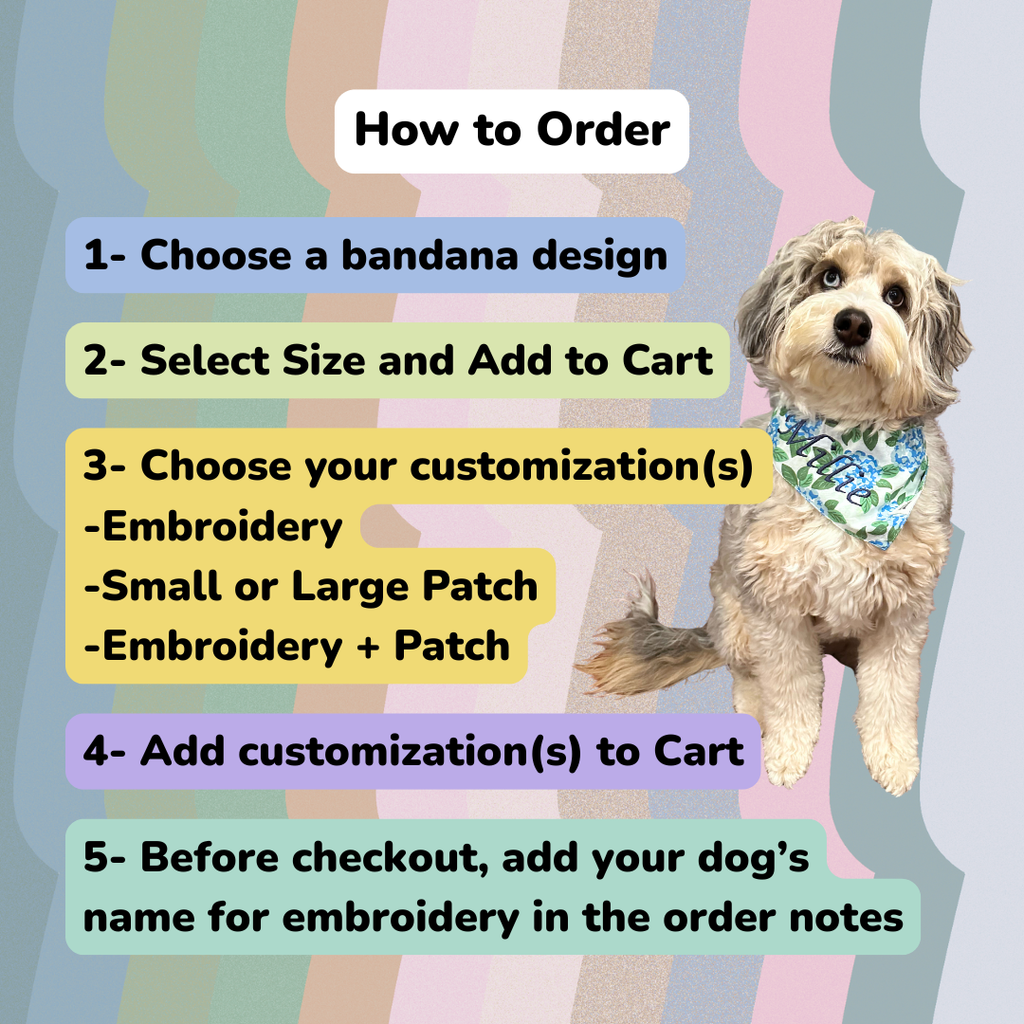 Bandana -  It's My Barkday Boy