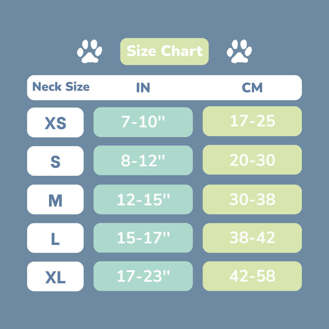 Bandana - The Frontier