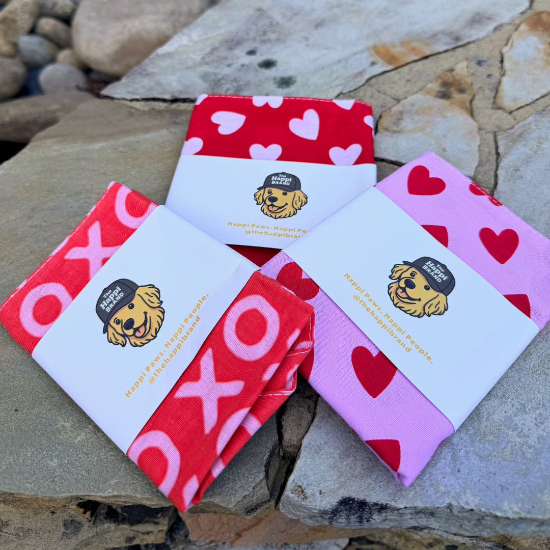 Bandana - Red with Pink XOXO