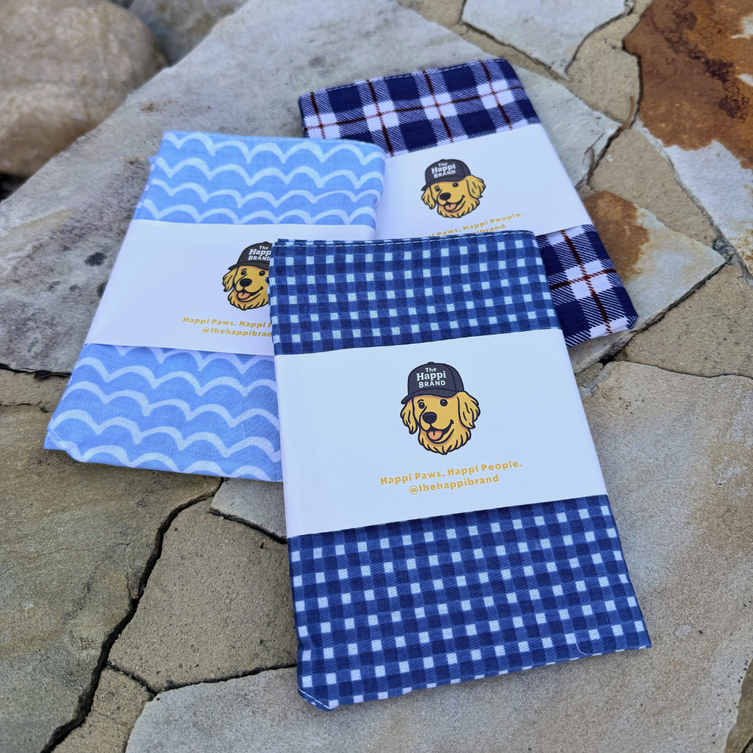 Bandana - Blue Gingham