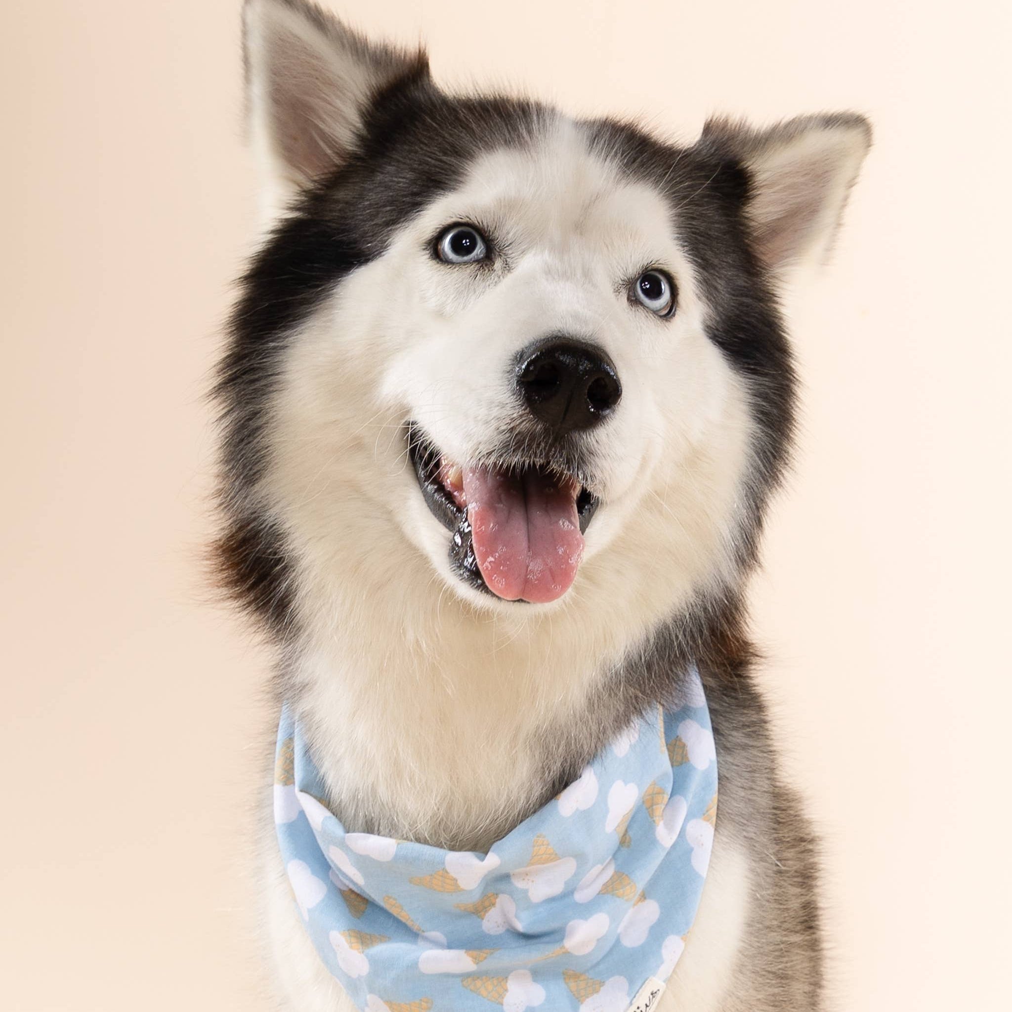 Bandana - Blue Bell