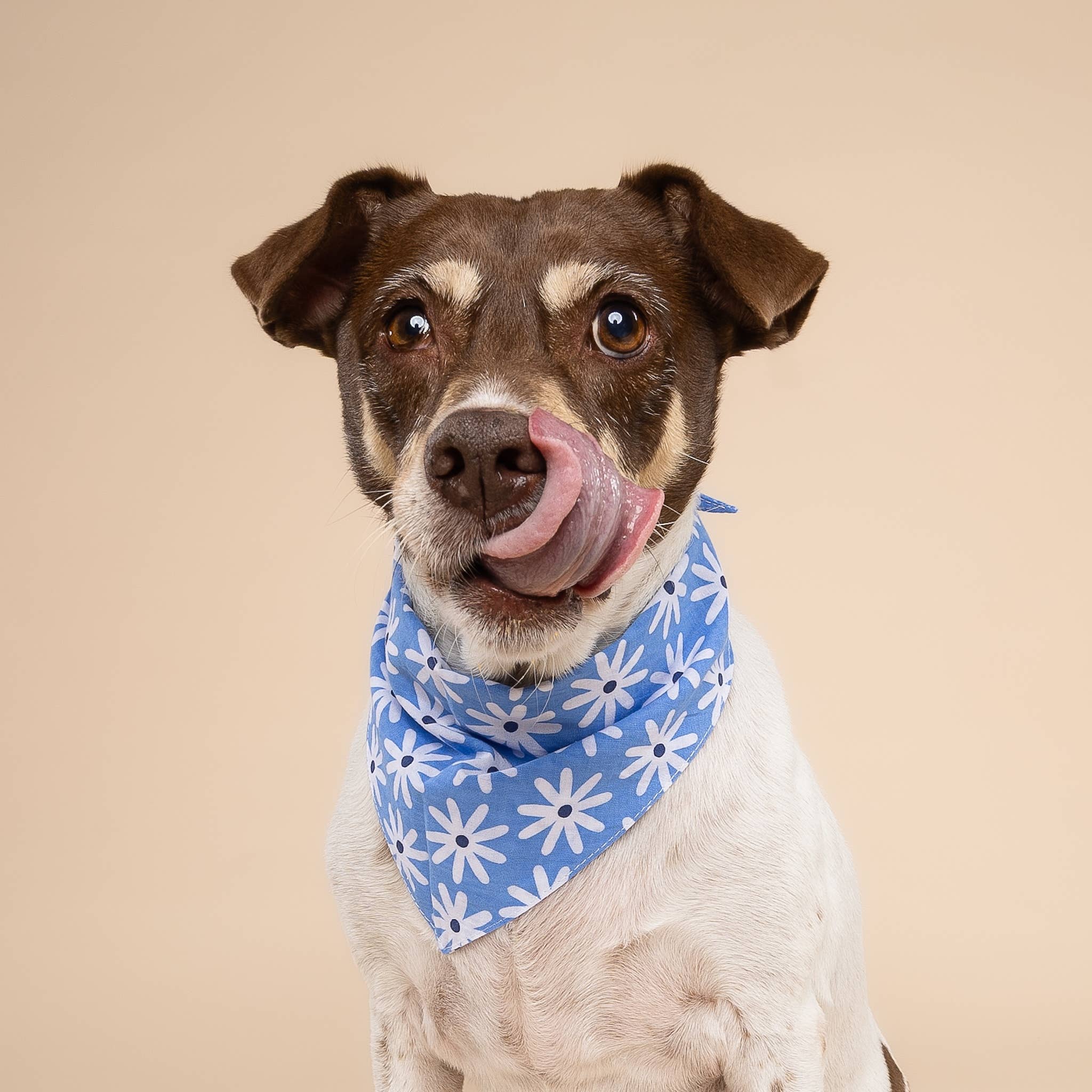 Bandana - Lyla Lyla