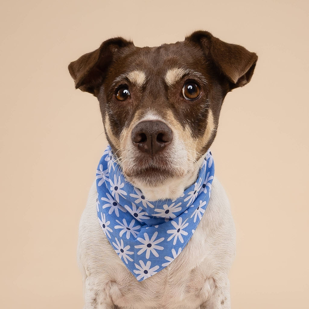 Bandana - Lyla Lyla