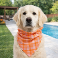 Bandana - Stevie