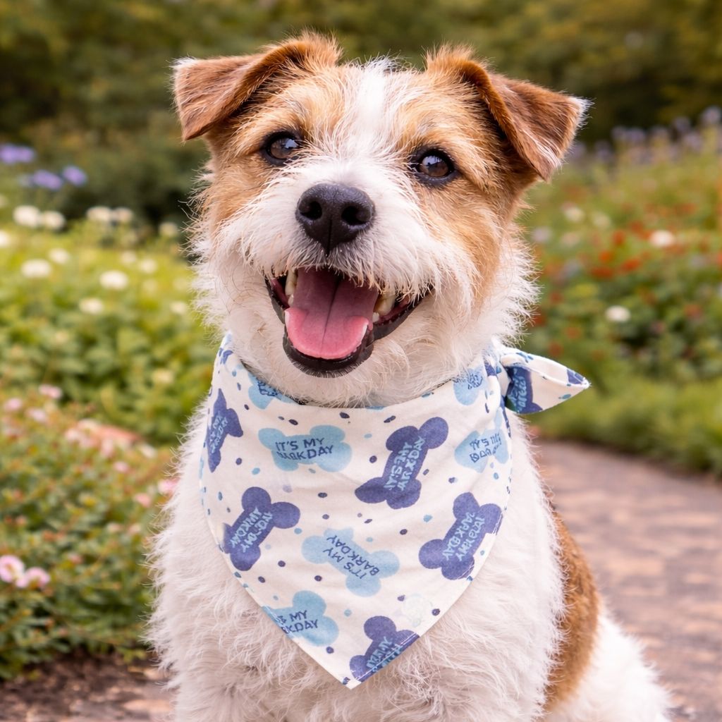 Bandana -  It's My Barkday Boy