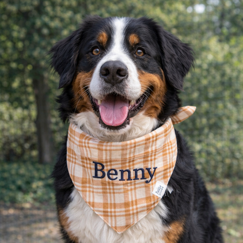 Ginger Paws dog bandana, paw print