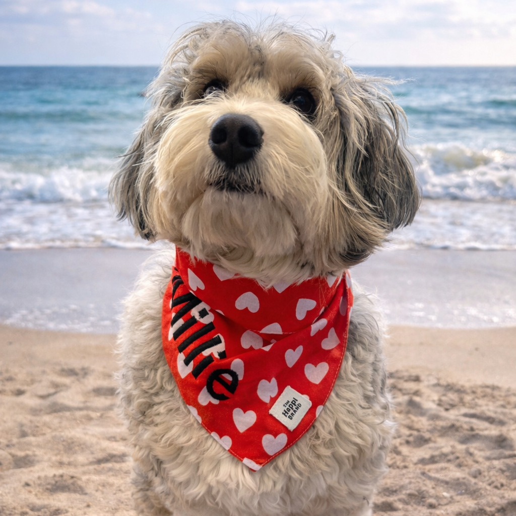 Bandana - Red with White Hearts