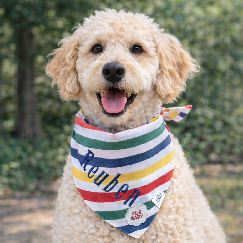 Bandana - The Frontier