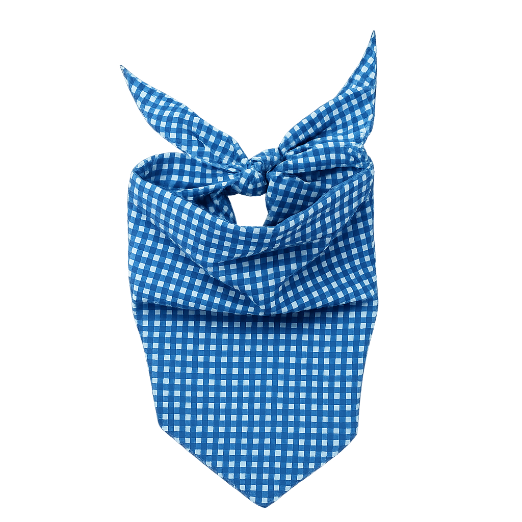 Bandana - Blue Gingham