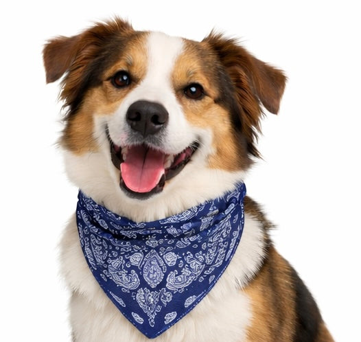 Navy bandana