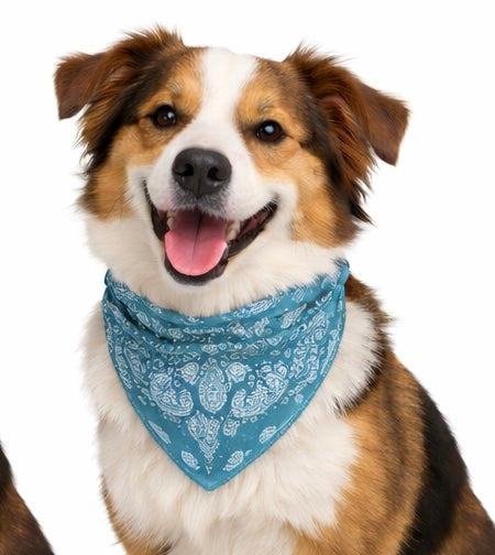 Teal bandana
