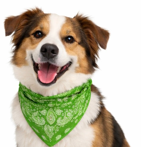 Spring green bandana