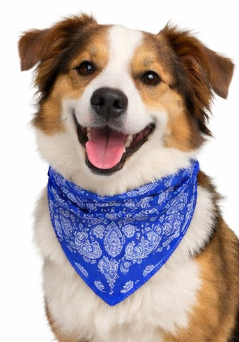 Blue bandana