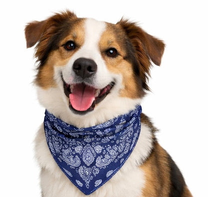 Bandana Color