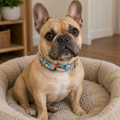 Garden Floral Collar