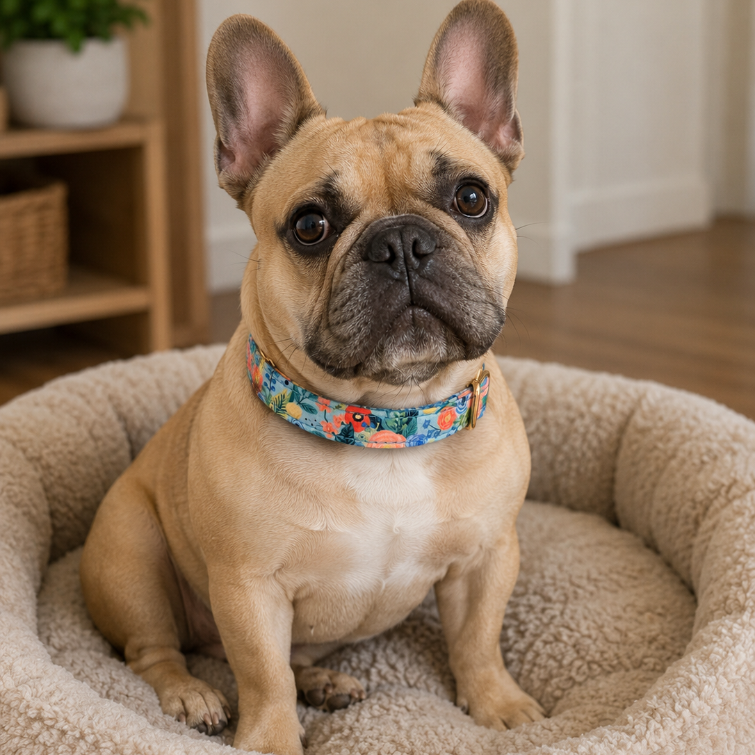 Garden Floral Collar