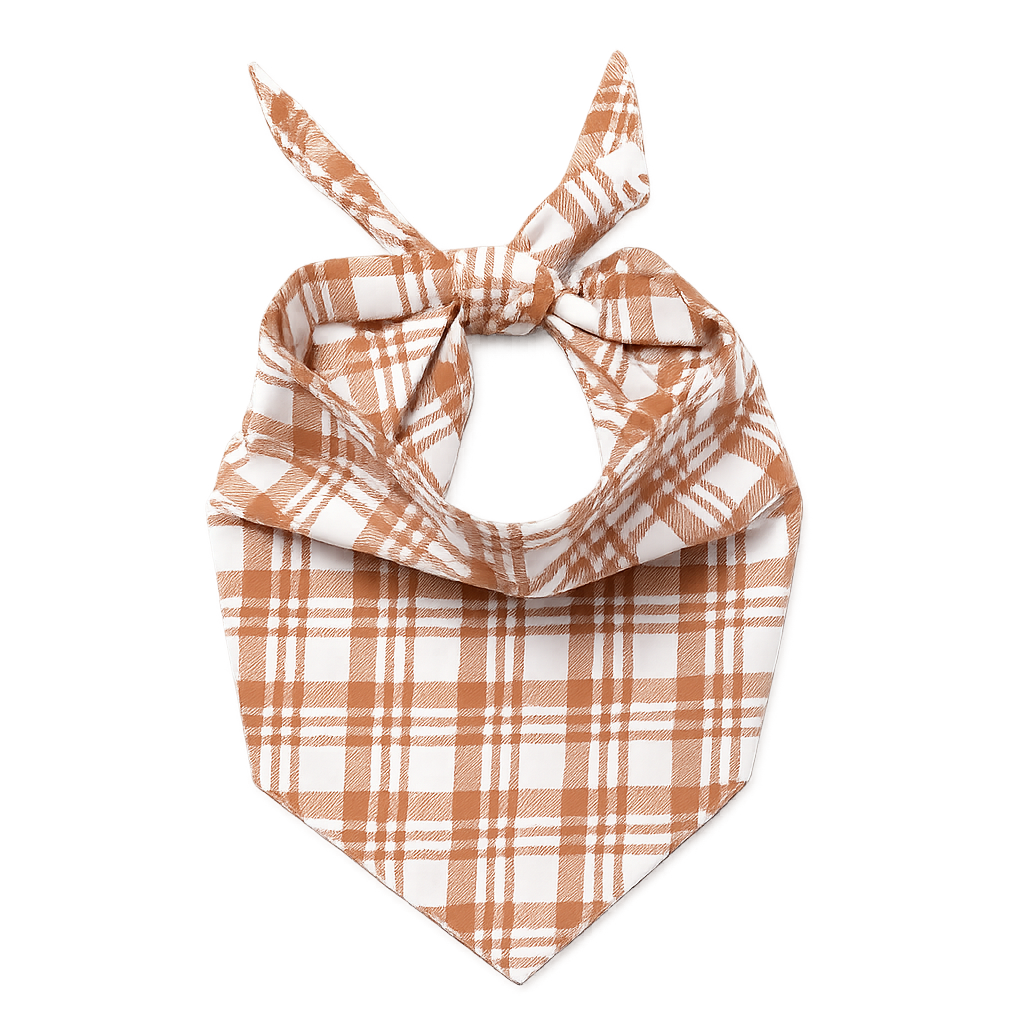 Bandana - Ginger Paws