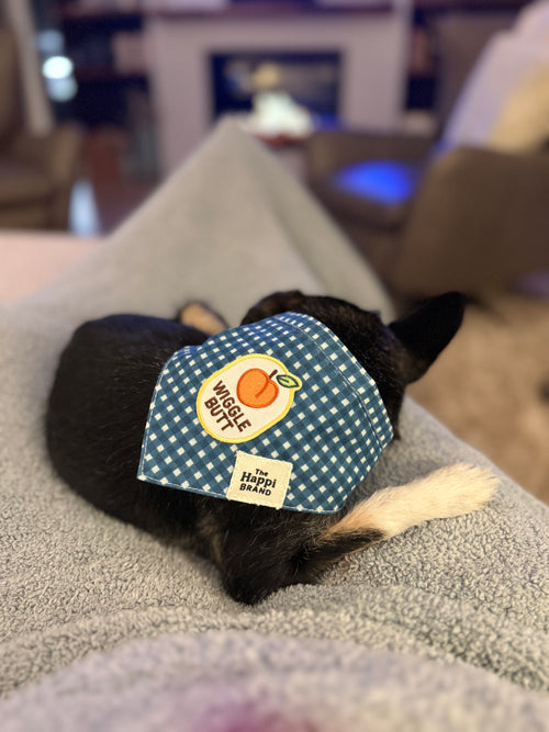 Bandana - Blue Gingham