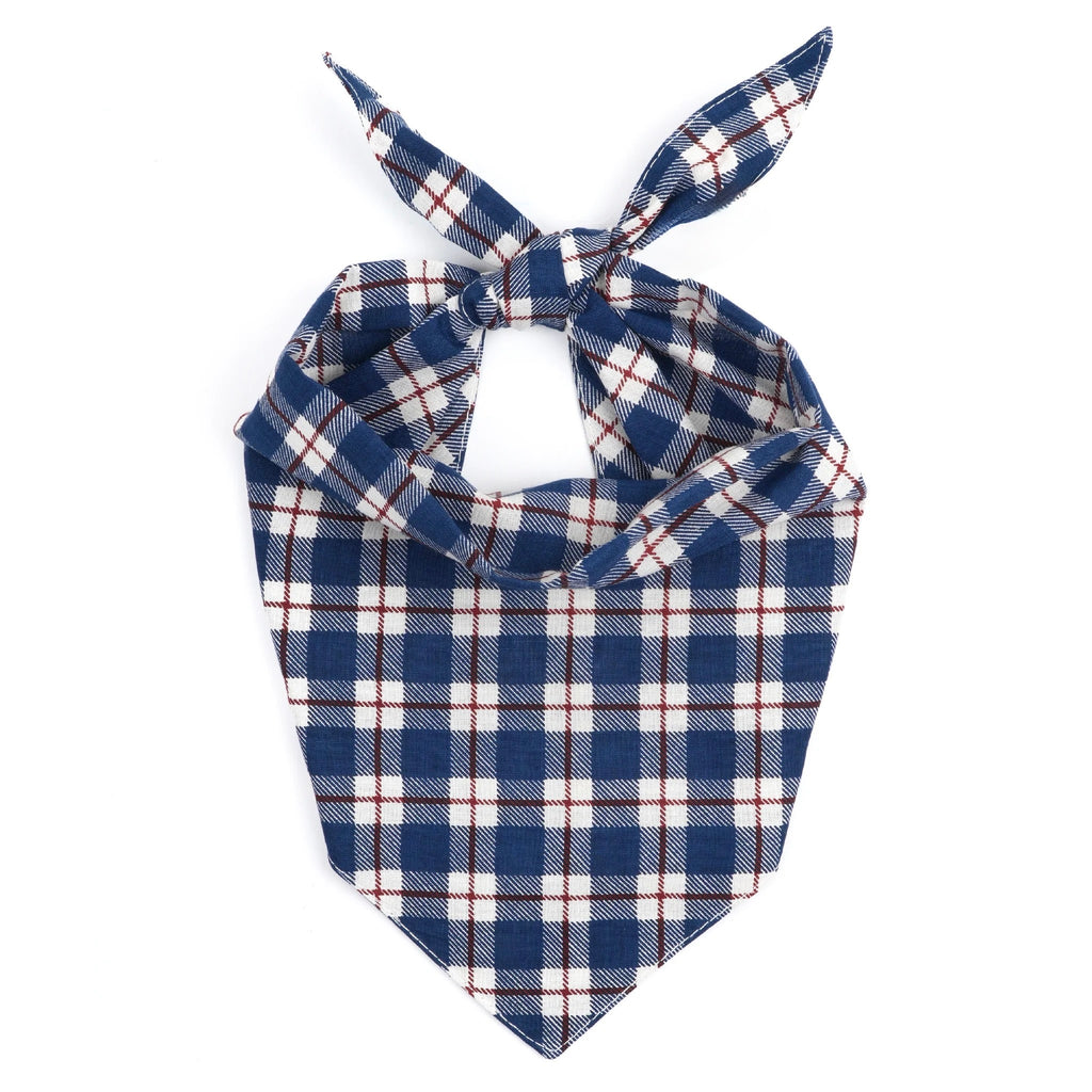 Bandana - Apres Winter Dog