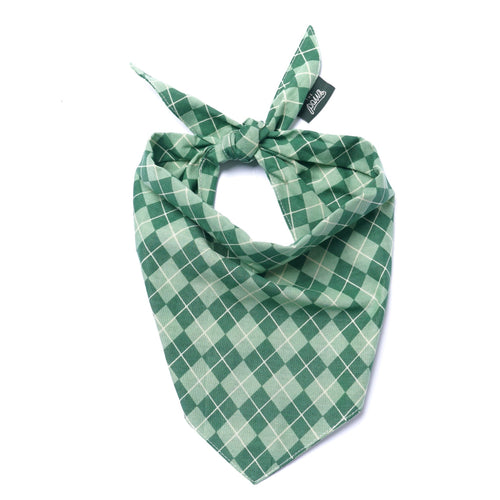 Bandana - Dublin Dog