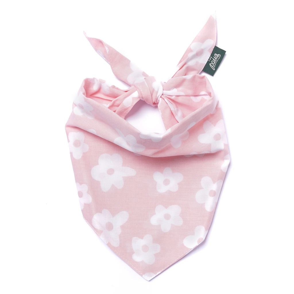 Bandana - Sweet Daisie Jane