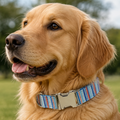 Multi Blue Collar