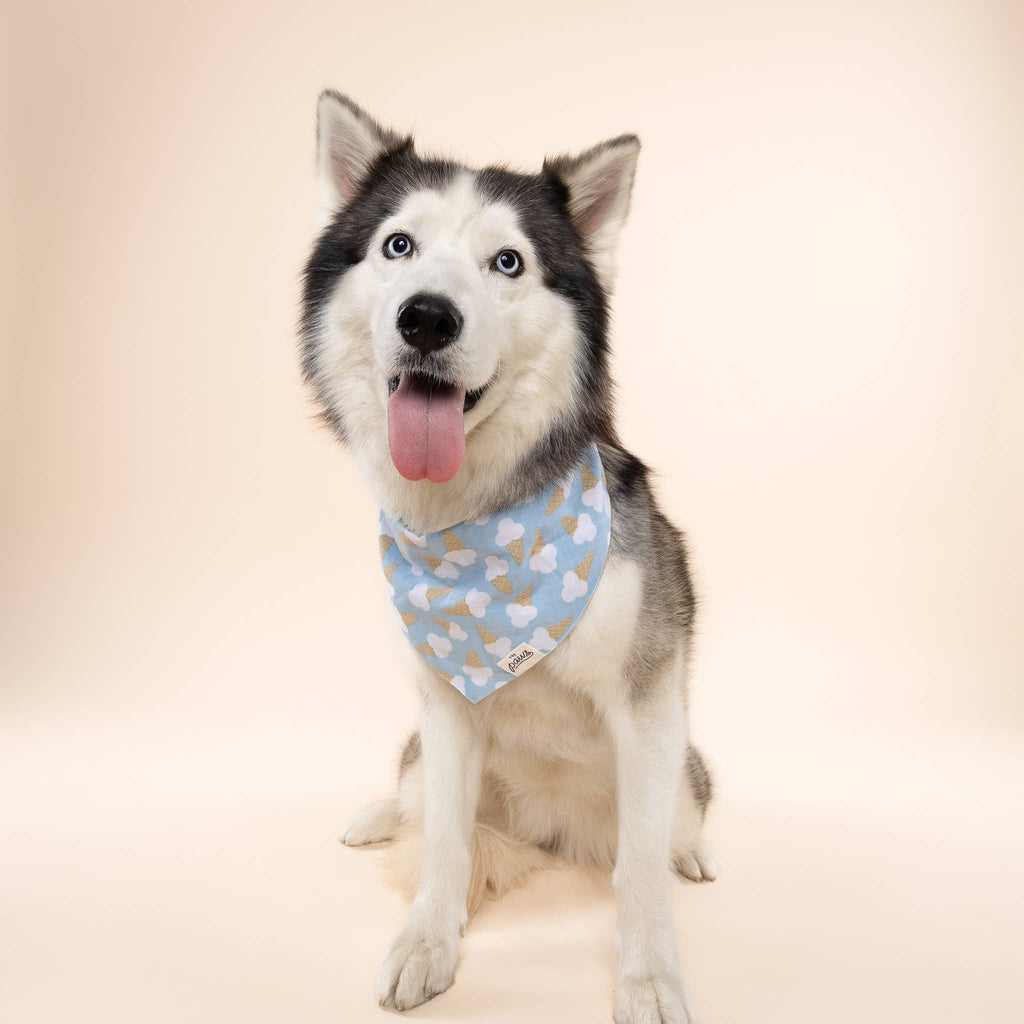 Bandana - Blue Bell