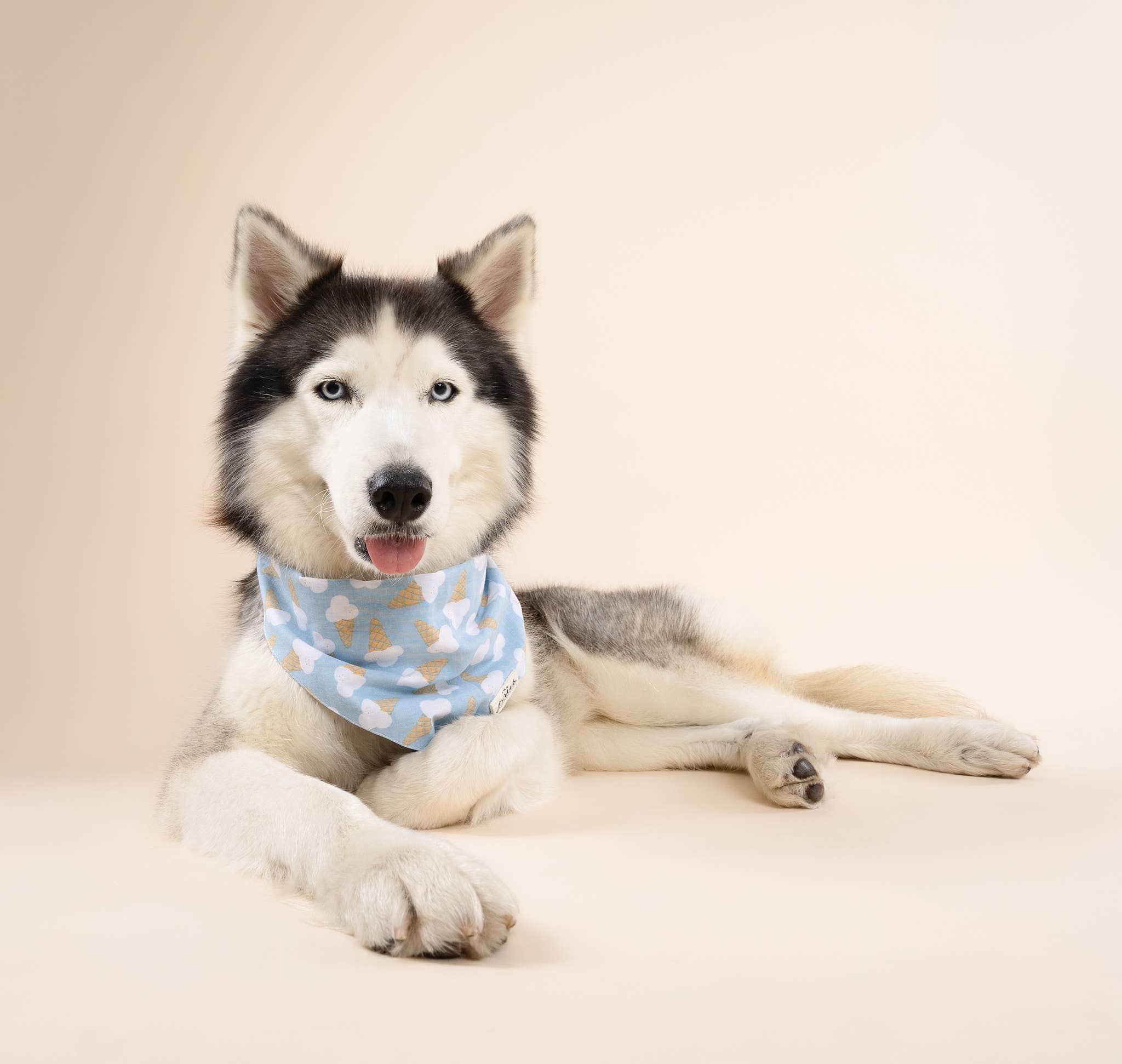 Bandana - Blue Bell